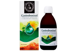 GASTROBONISOL 100 g płyn