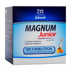 MAGNUM JUNIOR 20 saszetek