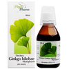 TINCTURA GINKGO BILOBAE 100 ml płynu