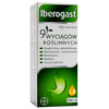 IBEROGAST 100 ml płyn