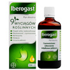 IBEROGAST 100 ml płyn