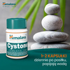 CYSTONE 100 tabletek