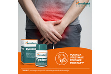 CYSTONE 100 tabletek