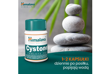 CYSTONE 100 tabletek