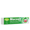 MUCOSIT DENT 15 g żel 