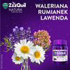 ZZZQUIL NATURA ŻELKI smak owoców leśnych 60 sztuk