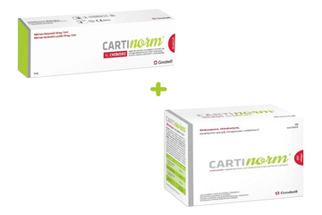 CARTINORM XL CHONDRO 60 mg/3 ml 1 ampułko-strzykawka + Cartinorm Biocollagen ZESTAW
