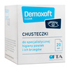 DEMOXOFT CLEAN 20 chusteczek