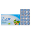 UROSEPT 60 tabletek